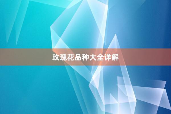 玫瑰花品种大全详解